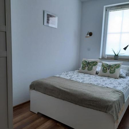 Apartament Felina Świeradów-Zdrój Extérieur photo