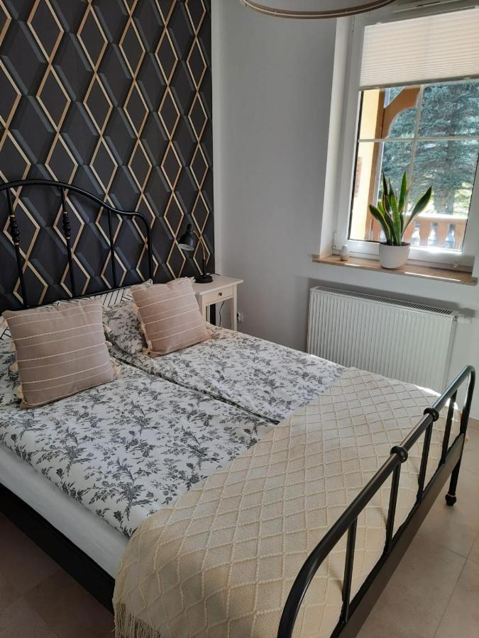 Apartament Felina Świeradów-Zdrój Extérieur photo