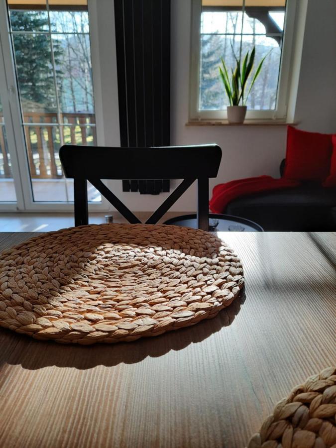 Apartament Felina Świeradów-Zdrój Extérieur photo